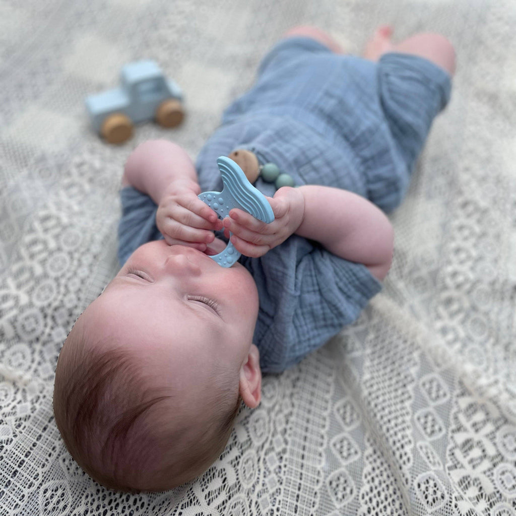Fish Teether