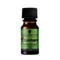 Rosemary (Rosmarinus officinalis) - 100% Essential Oil (10ml)